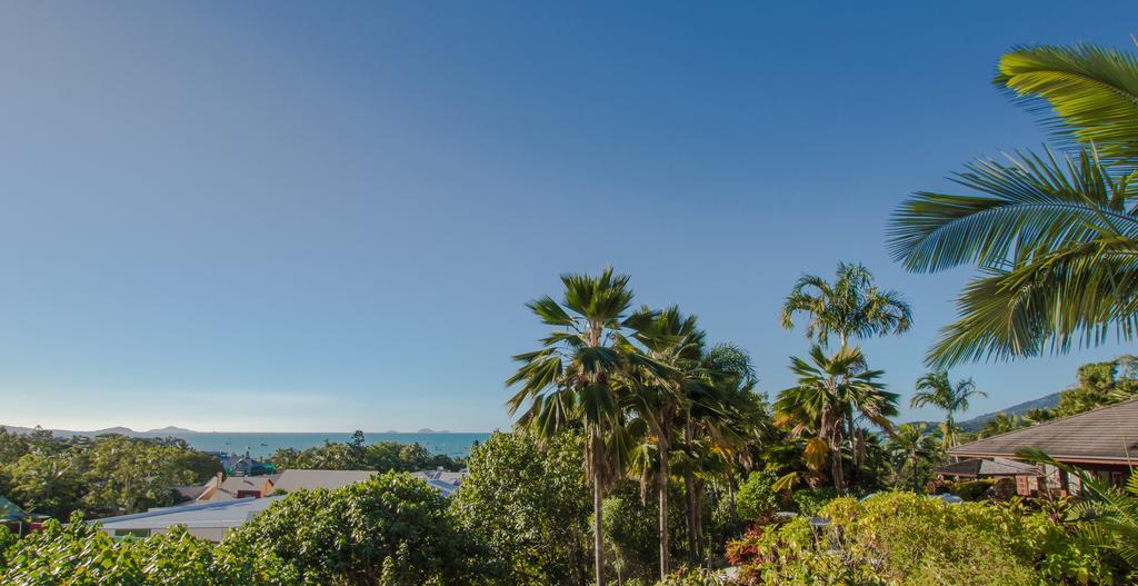 One Bedroom Apartment Balcony Jacuzzi Garden View,292451892:JPEG