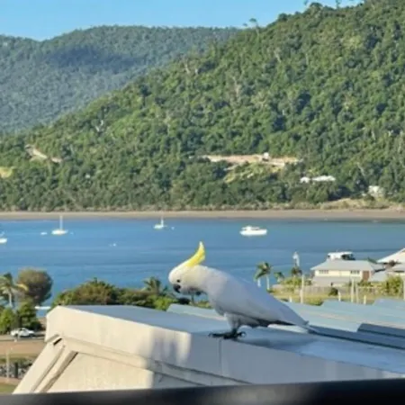 Ocean View Pools And Wifi-3